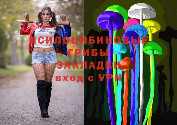 кокс Касимов