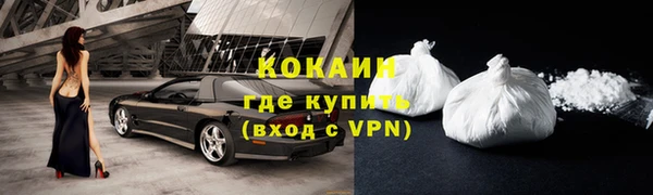 кокс Касимов