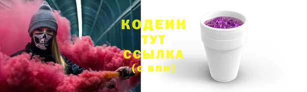 кокс Касимов