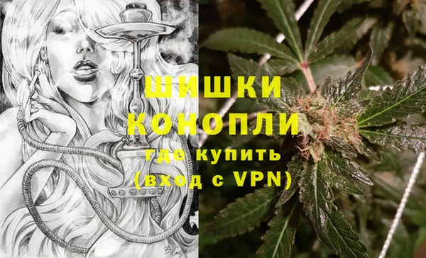 кокс Касимов
