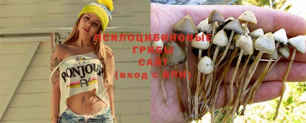 твердый Карталы