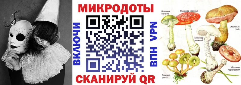 Псилоцибиновые грибы Cubensis Купить Нерехта